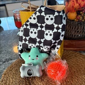 Skull Print Bandana with Star Plush and Orange Ball